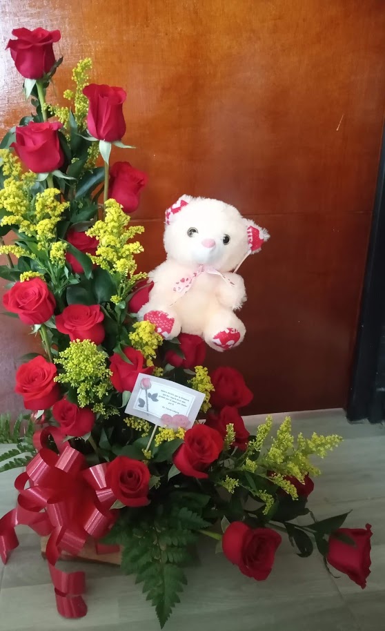 18 rosas con peluche – flores a domicilio cota