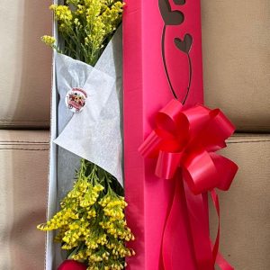 Caja 12 rosas